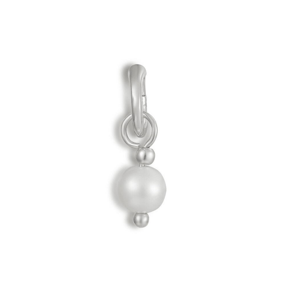 Shoe Charms