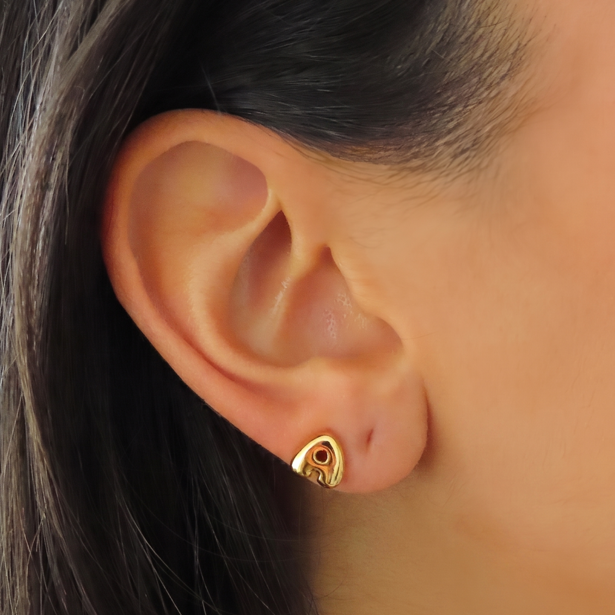 Evry Jewels All About Me Earrings