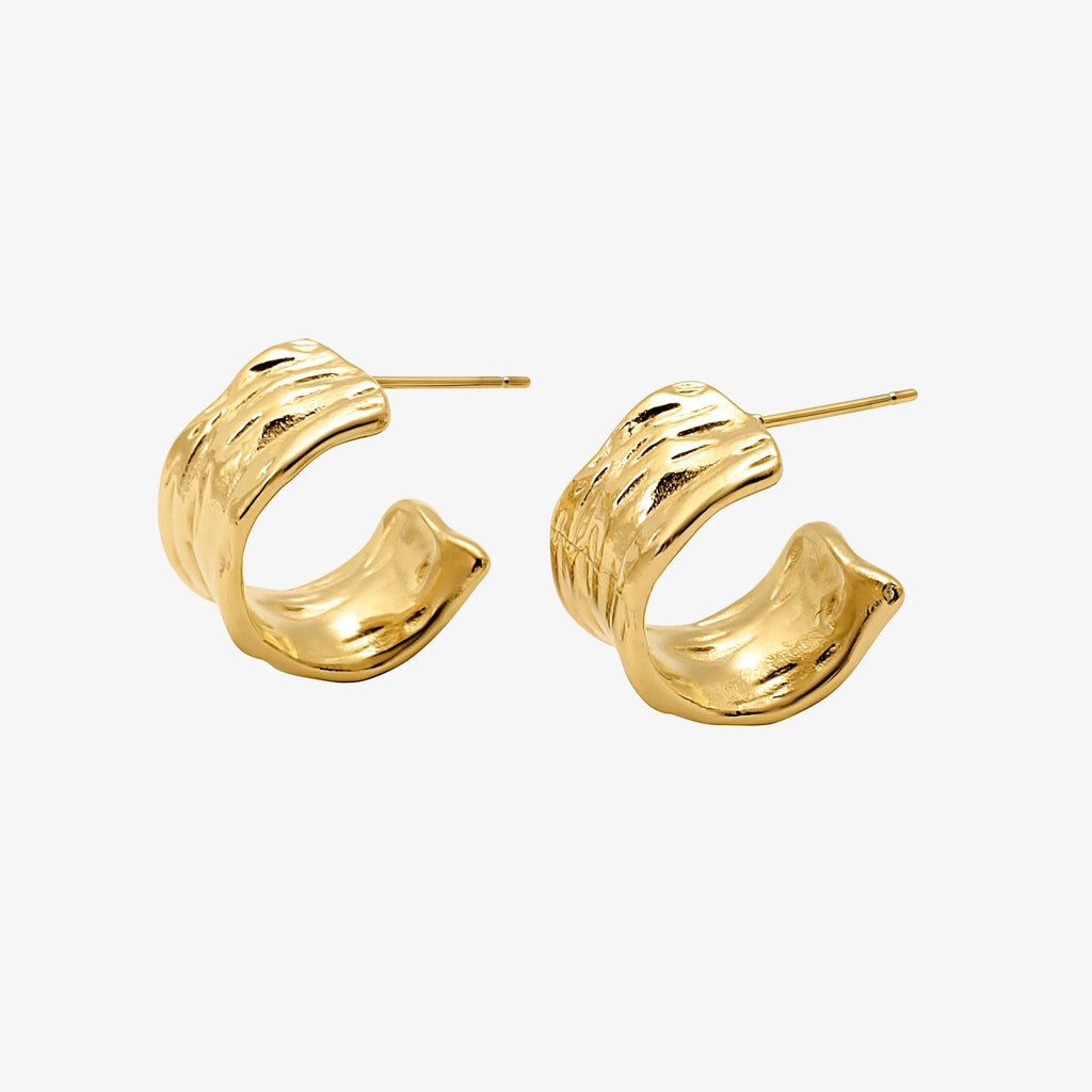 Evry Jewels Liquid Shine Earrings