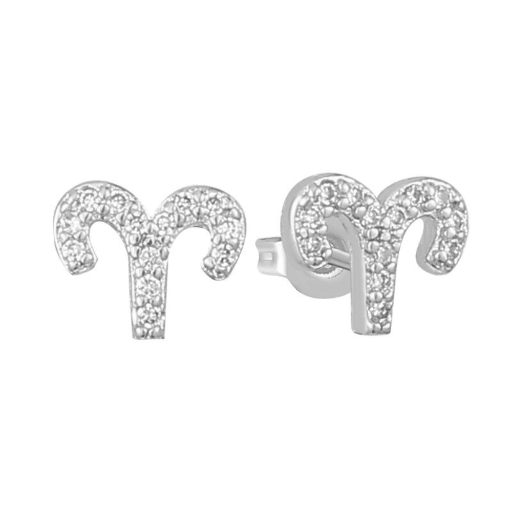 Evry Jewels Stargazing Earrings
