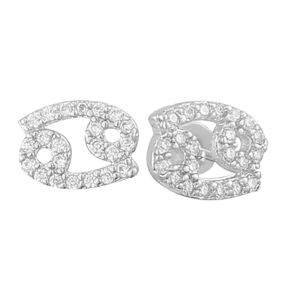 Evry Jewels Stargazing Earrings